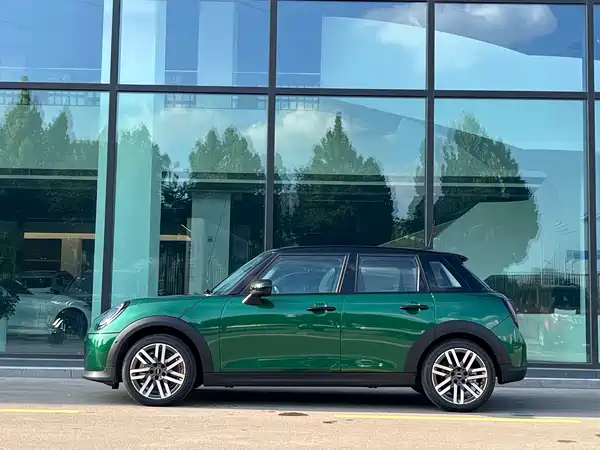 MINI MINI 2025