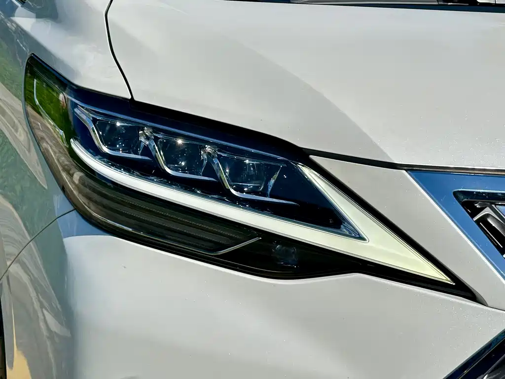 Lexus LM 2020 — фото 11