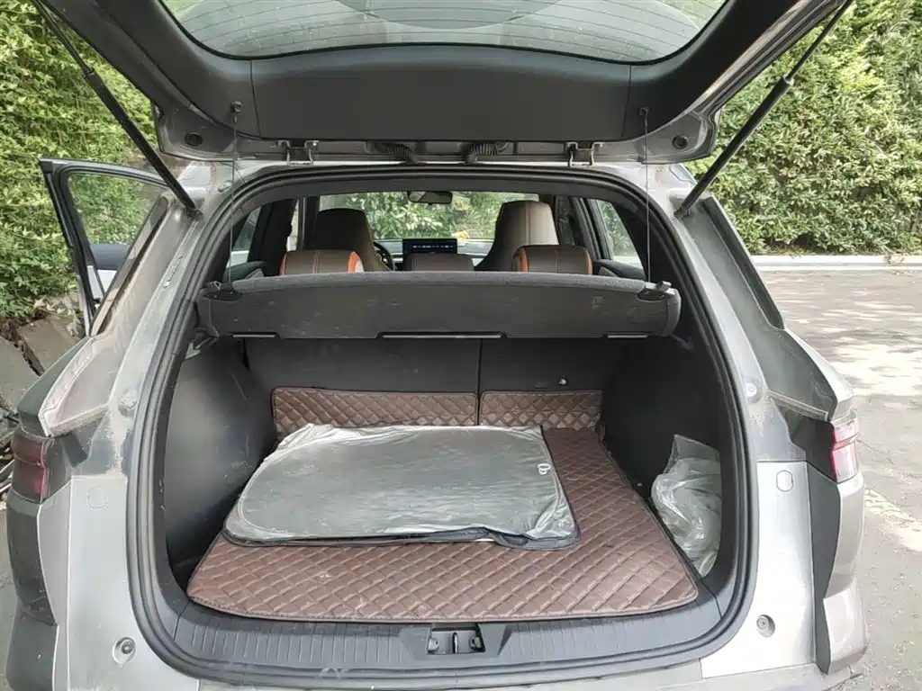 BYD Pro New Energy 2023 — фото 19