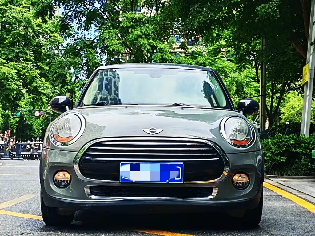 MINI MINI 2015
