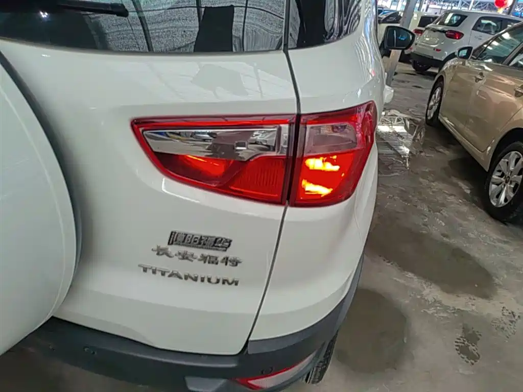 Ford Ecosport 2014 — фото 8