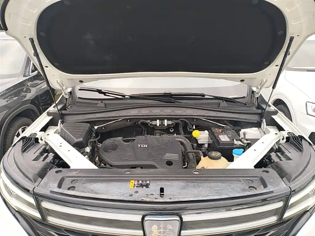 Roewe RX5 MAX 2021 — фото 19