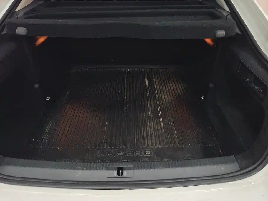 Skoda Speedy 2018