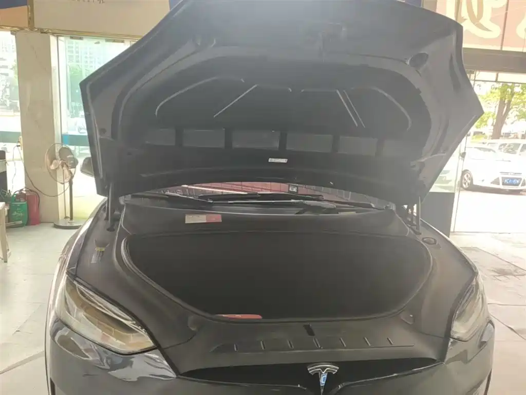 Tesla Model X 2019 — фото 20