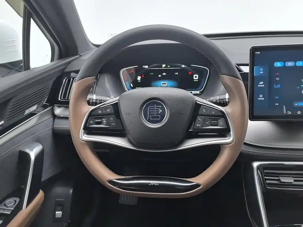 BYD Tang New Energy 2022 — фото 11