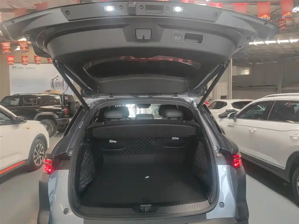 BYD Pro New Energy 2025 — фото 19