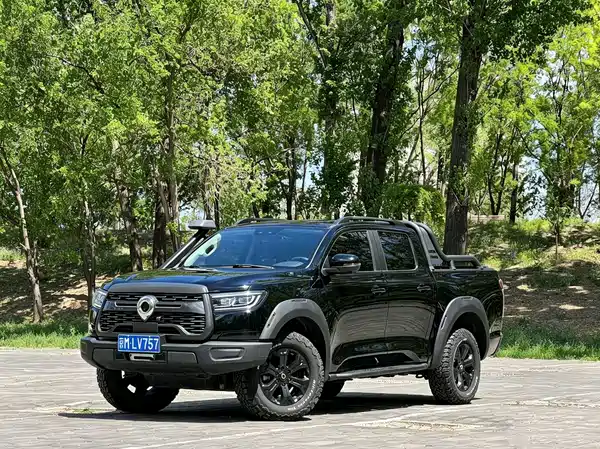 Great Wall Poer 2022