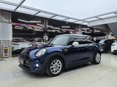 MINI MINI 2015