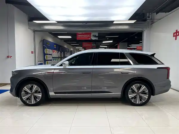 Hongqi E-HS9 2021