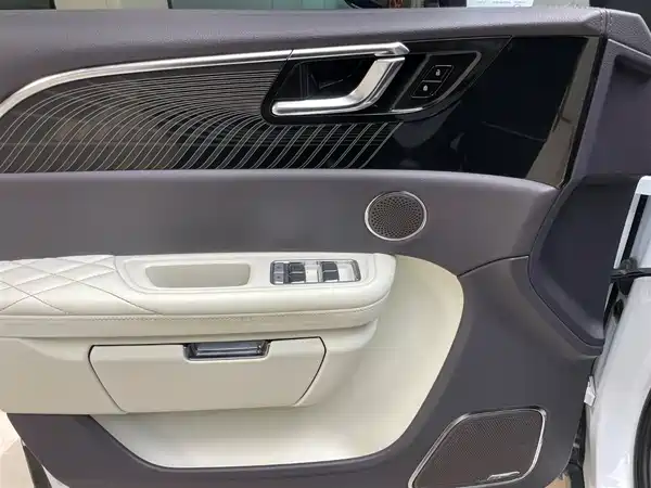 Hongqi E-HS9 2021