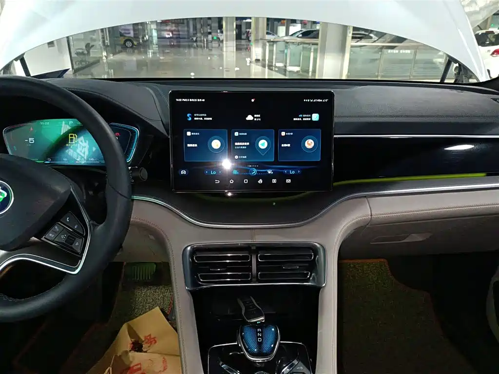 BYD PLUS New Energy 2021 — фото 10