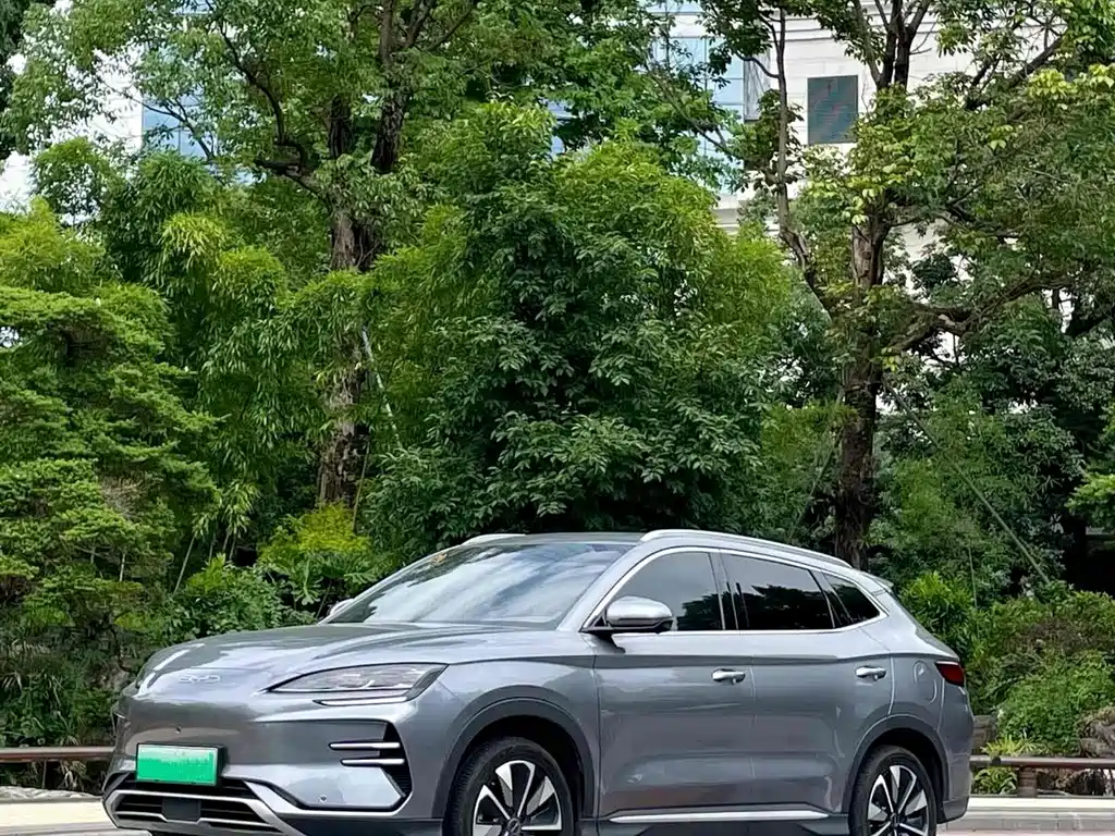 BYD Song PLUS New Energy 2024 — фото 2