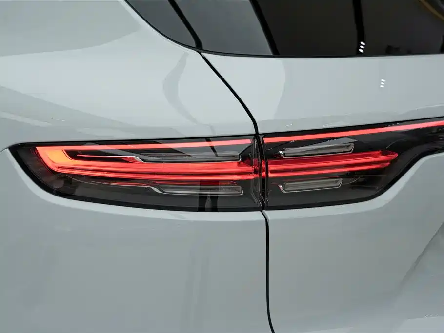 Porsche Cayenne 2021 — фото 25