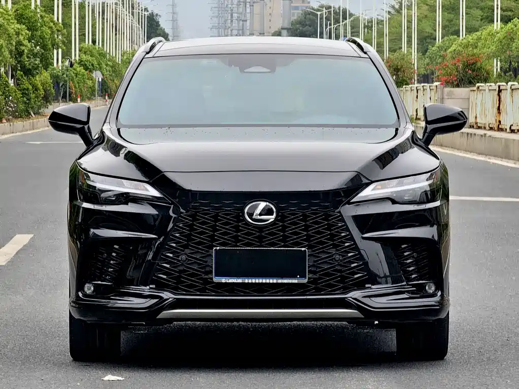 Lexus RX 2024 — фото 2