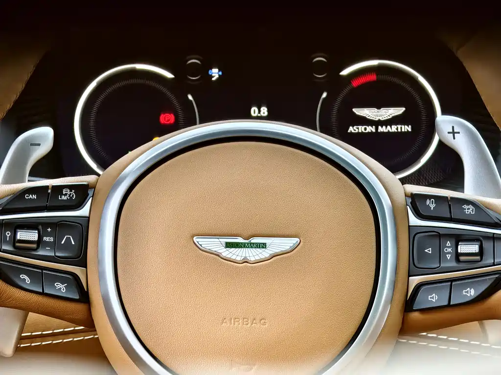 Aston Martin DBX — фото 16