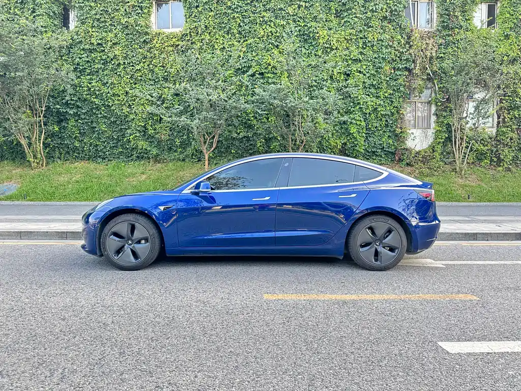 Tesla Model 3 2020 — фото 3