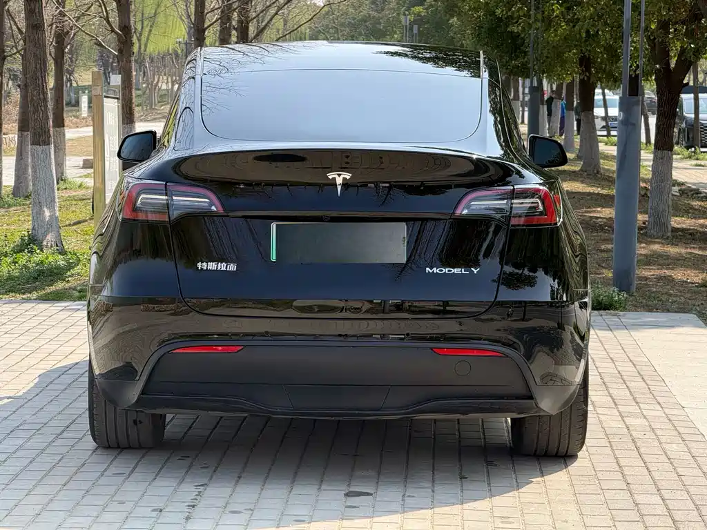Tesla Model Y 2024 — фото 11