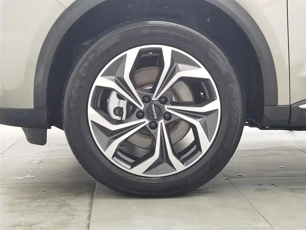 Haval Xiaolong MAX 2023 — фото 17
