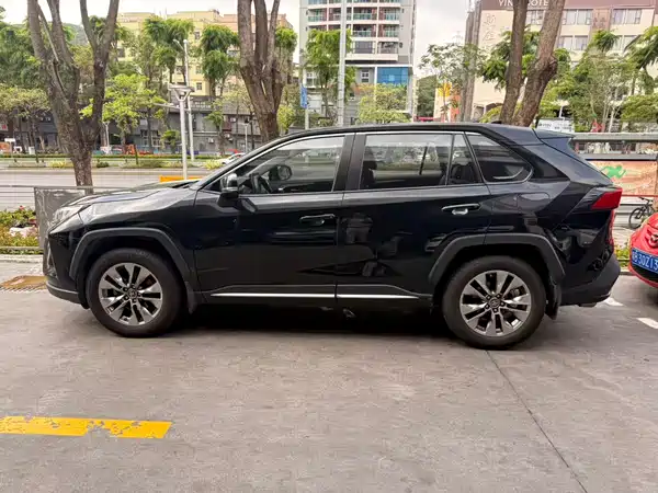 Toyota Wildlander 2020