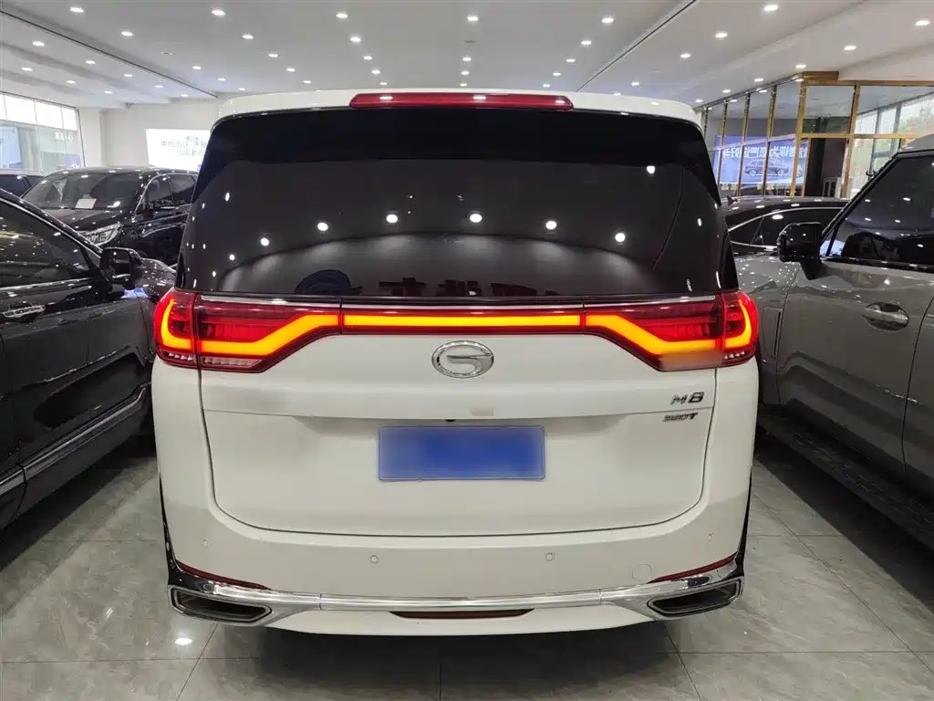 GAC Motor Trumpchi M8 2020 — фото 10
