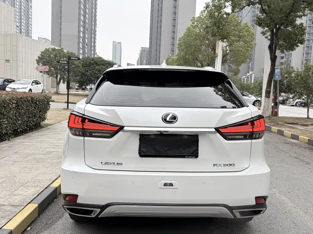 Lexus RX 2020 — фото 6