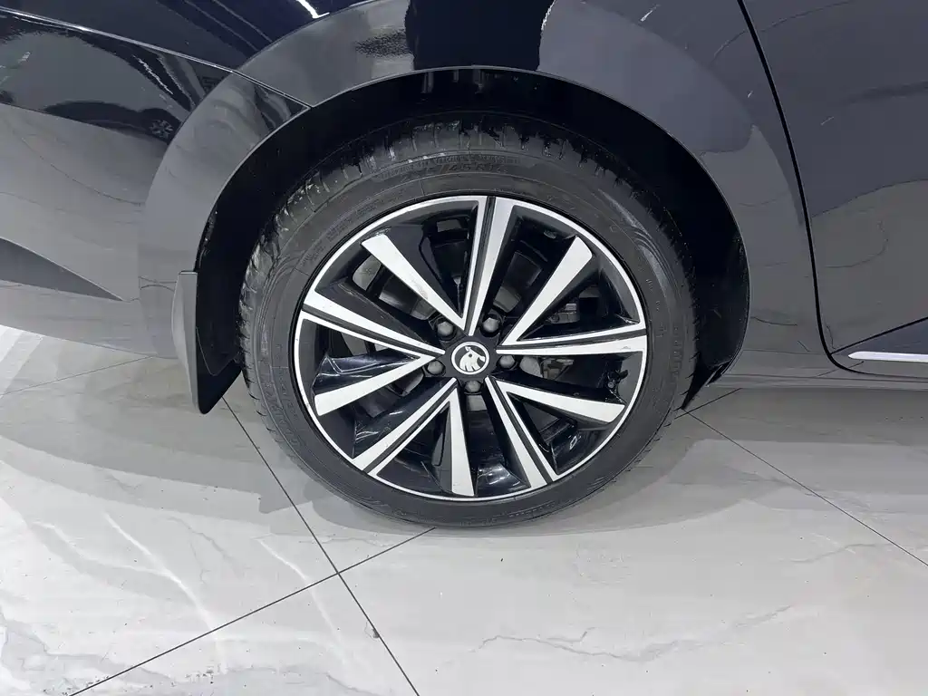 Skoda Speedy 2024 — фото 20