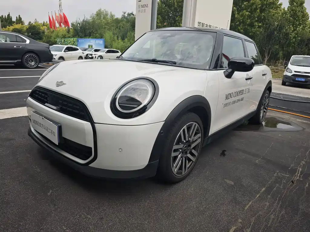 MINI MINI 2025