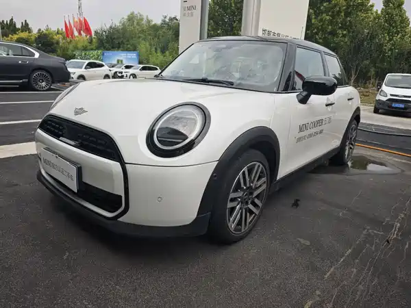 MINI MINI 2025
