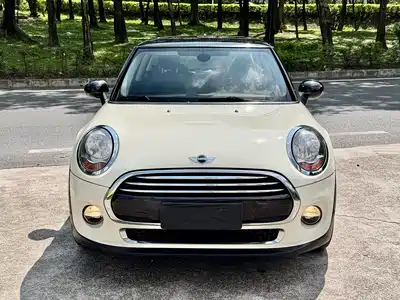MINI MINI 2014