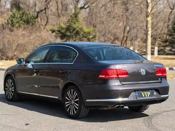 Volkswagen Magotan 2012