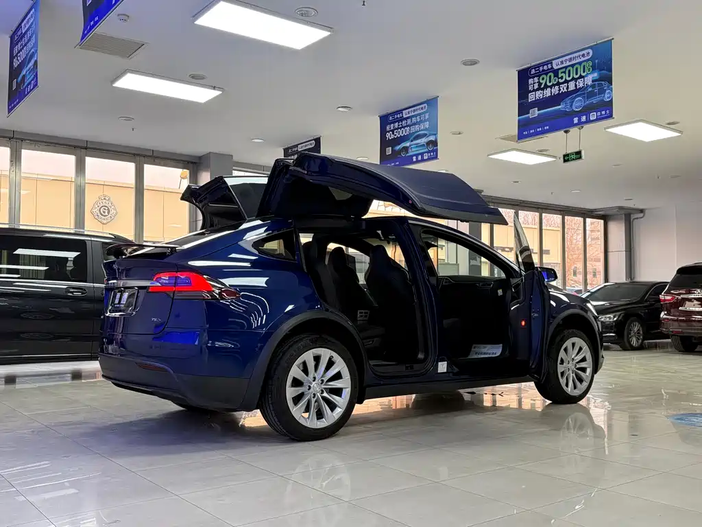 Tesla Model X 2018 — фото 5
