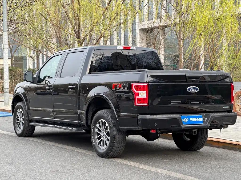 Ford F-150 Raptor 2020 — фото 27
