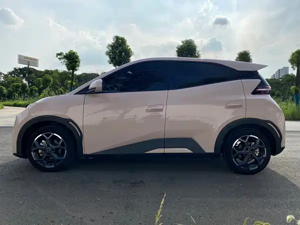 BYD Seagull 2024