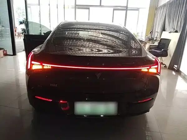 Neta S 2024