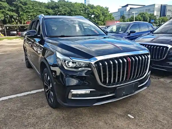 Hongqi HS7 2020