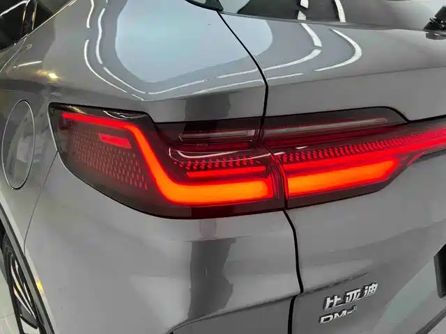 BYD Song PLUS New Energy 2024 — фото 19