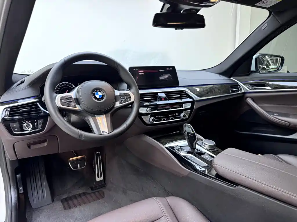 BMW 5 Series 2019 — фото 16