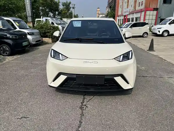 BYD Seagull 2024