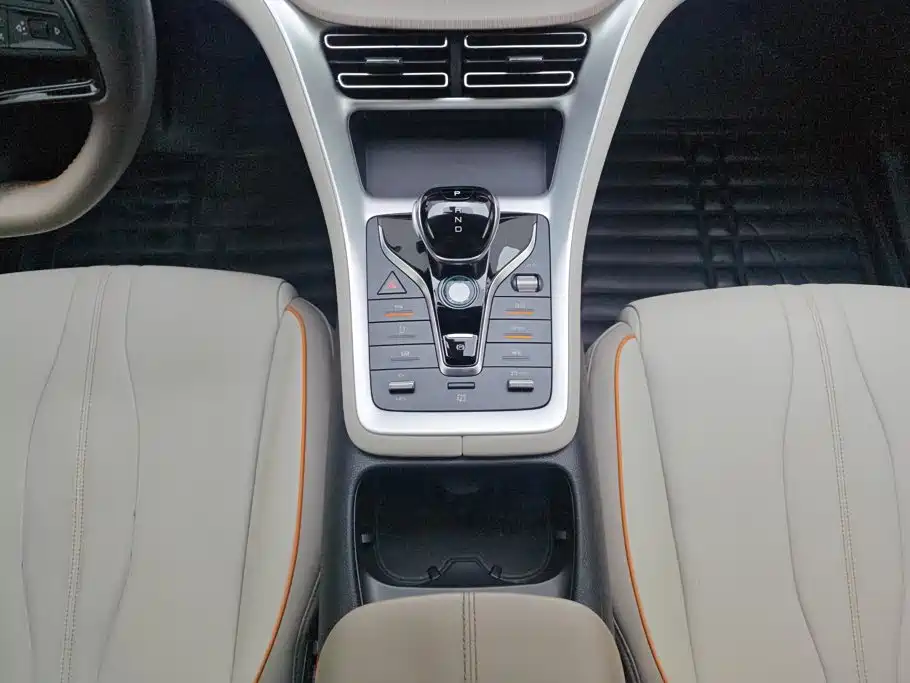 BYD Song Pro New Energy 2024 — фото 16