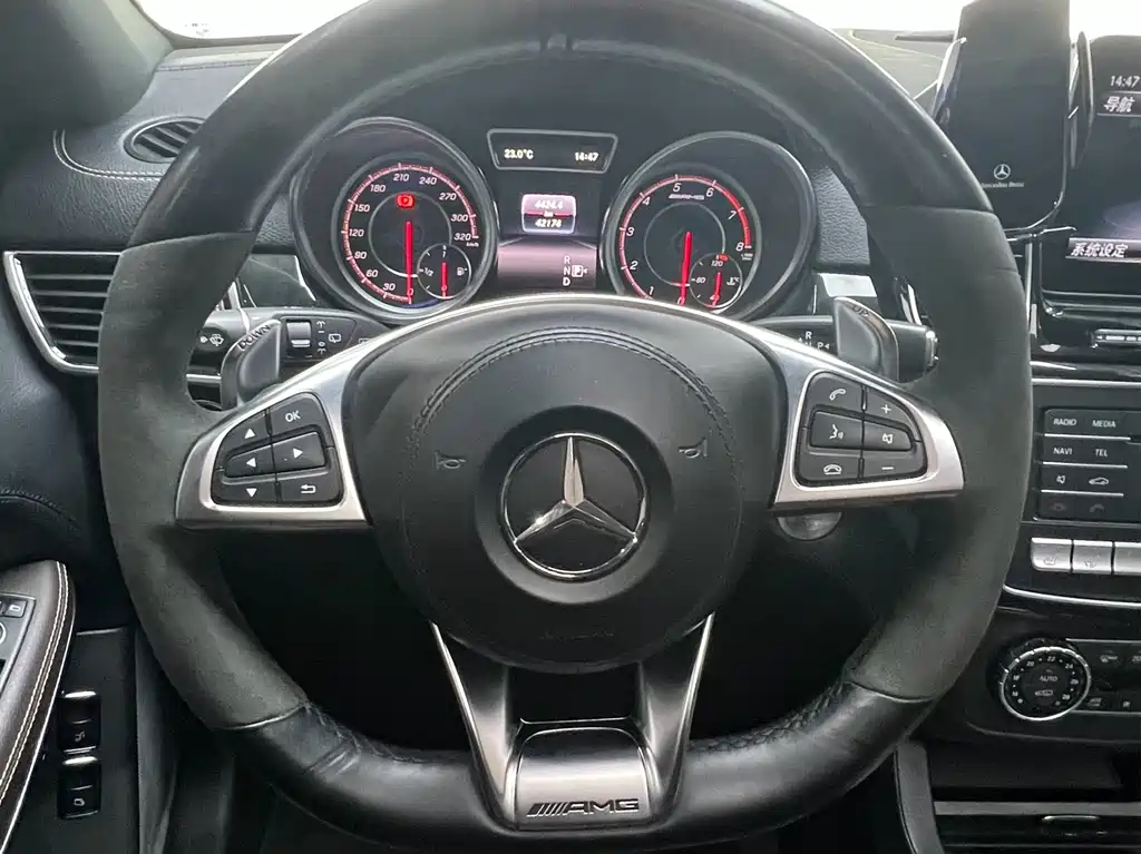 Mercedes-Benz GLS AMG 2019 — фото 13