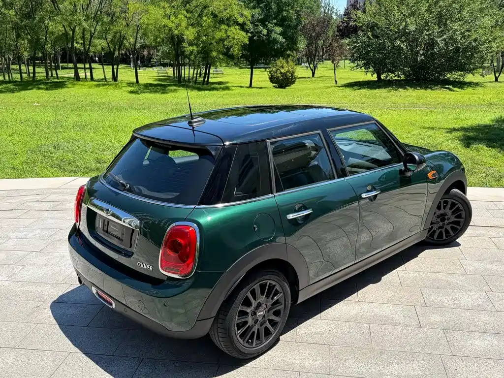 MINI MINI 2017