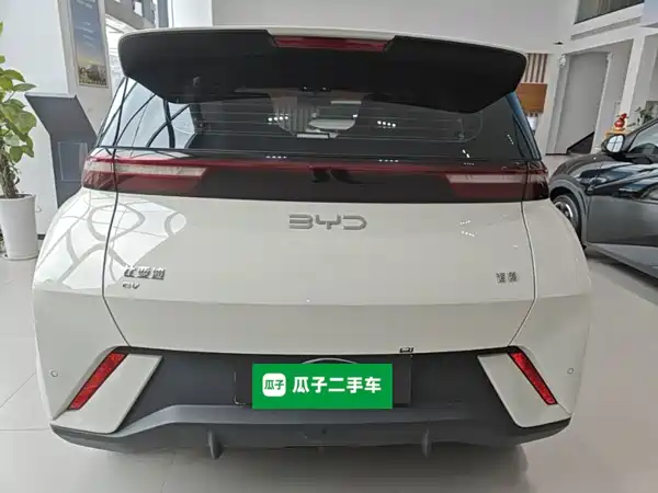 BYD Seagull 2024