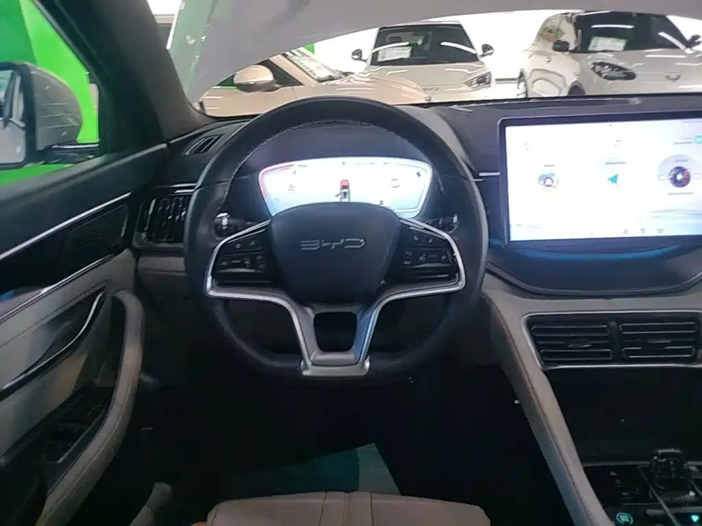 BYD Song PLUS New Energy 2024 — фото 11