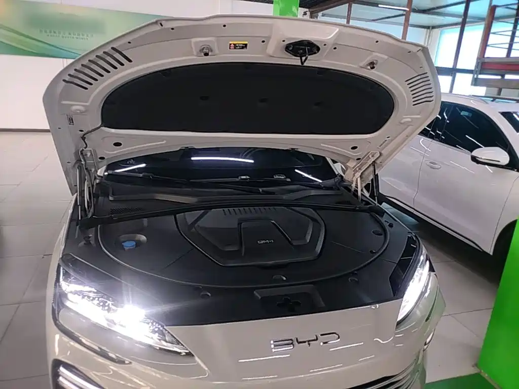 BYD Song PLUS New Energy 2024 — фото 20