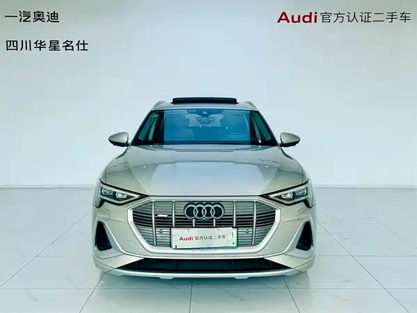 Audi e-tron 2021