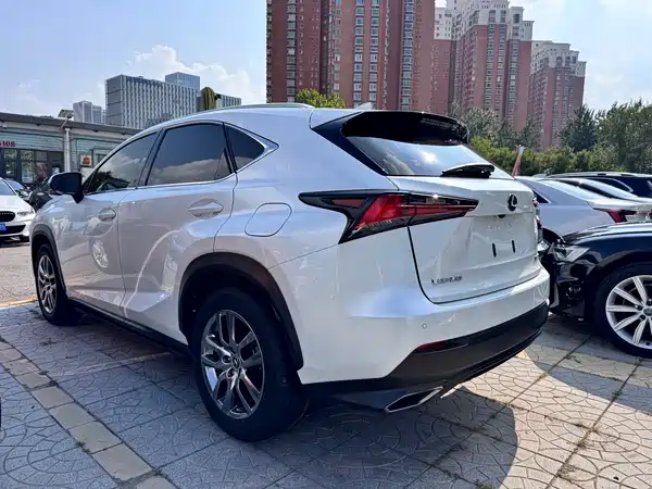 Lexus NX 2020