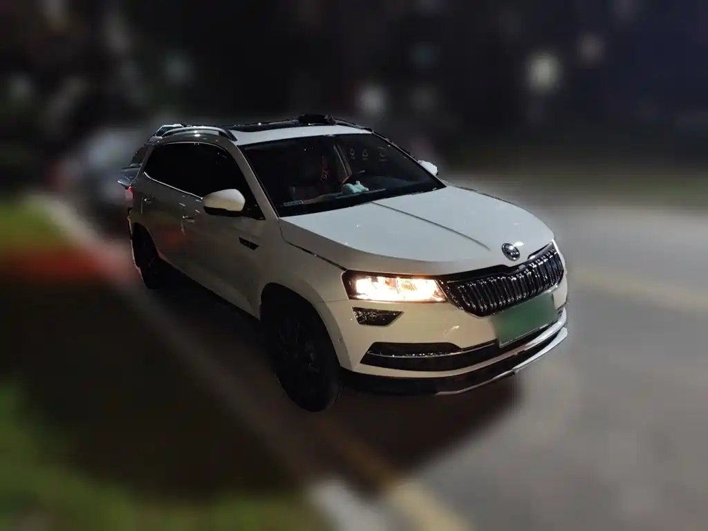 Skoda Karoq 2019 — фото 24