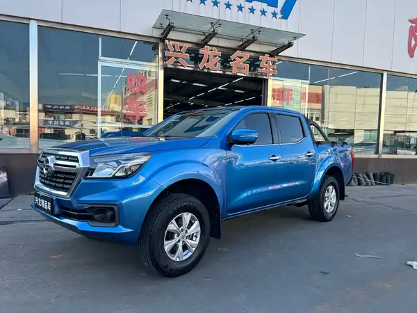 Dongfeng Ruiqi 2019