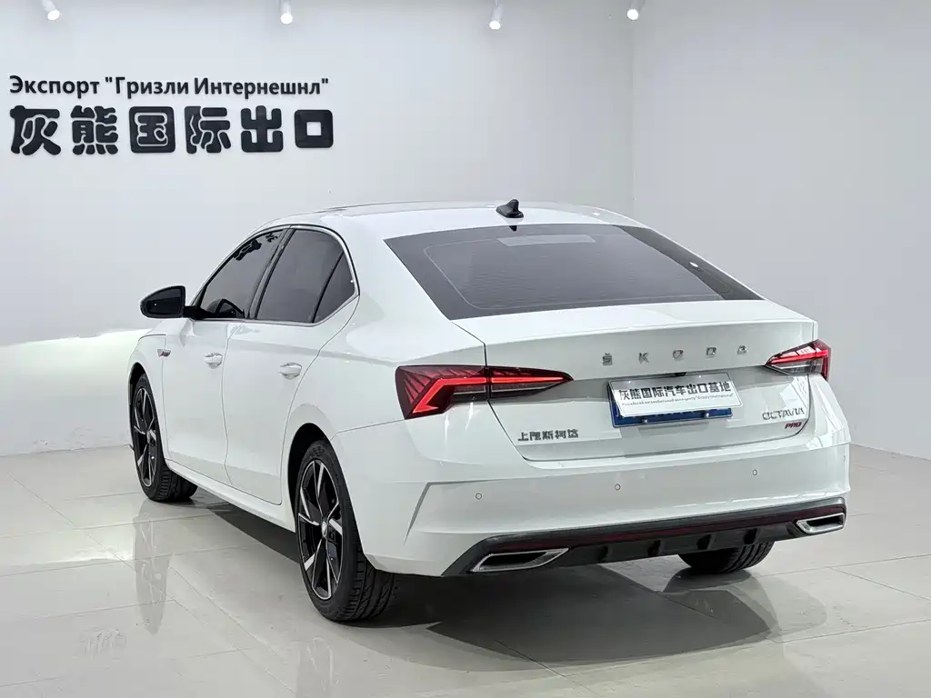Skoda Octavia 2024 — фото 4