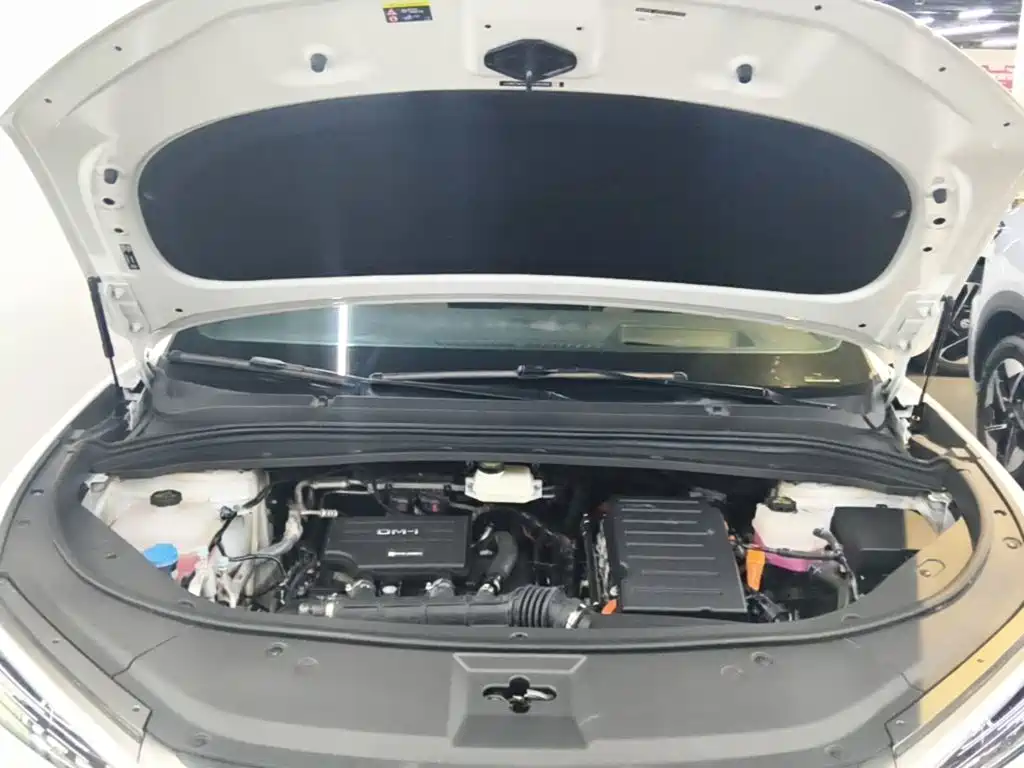 BYD Song L DM-i 2024 — фото 20